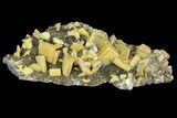 Sandwich Wulfenite Crystal Cluster - Ojuela Mine, Mexico #103495-1
